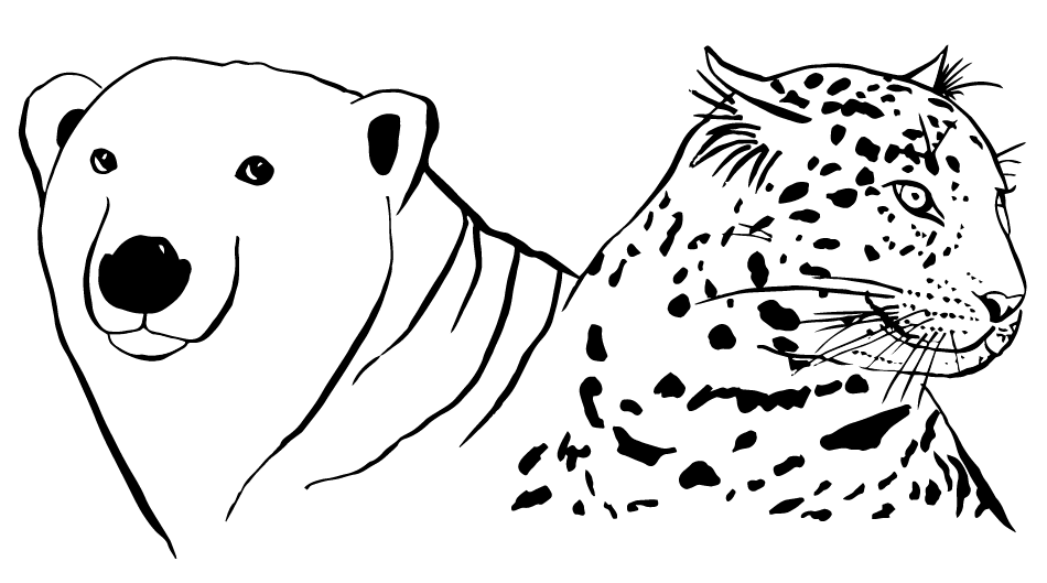 Rityta 1